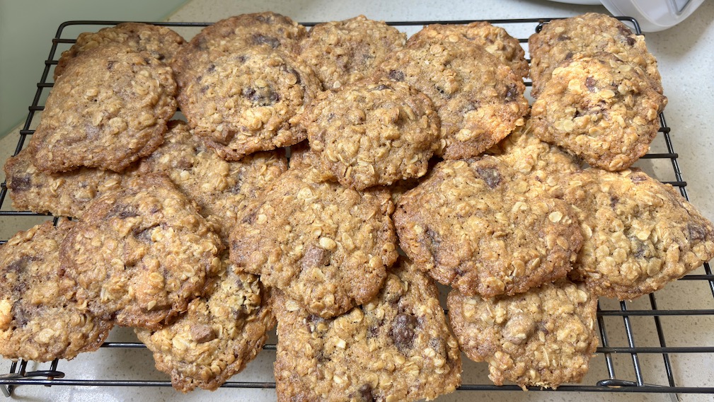 Chocolate oat biscuits